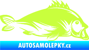 Samolepka Ryba 003 pravá limetová