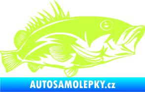 Samolepka Ryba 004 pravá limetová