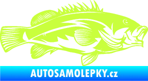Samolepka Ryba 005 pravá limetová
