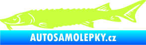 Samolepka Ryba 020 levá jeseter limetová