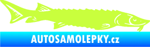 Samolepka Ryba 020 pravá jeseter limetová