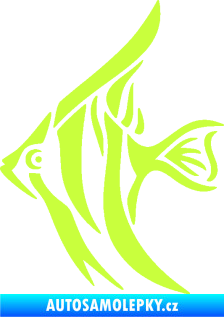 Samolepka Ryba 024  levá akvarijní skalára limetová
