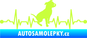 Samolepka Srdeční tep 007 pravá pitbull limetová