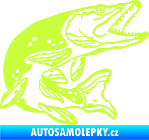 Samolepka Štika 002 pravá limetová