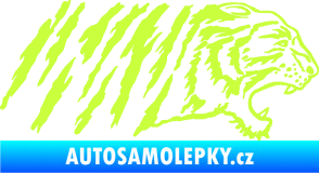 Samolepka Tygr 004 pravá limetová