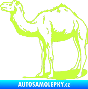 Samolepka Velbloud 001 levá limetová