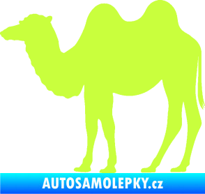 Samolepka Velbloud 003 levá limetová