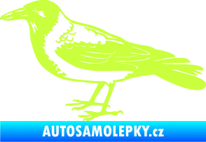 Samolepka Vrána 001 levá limetová