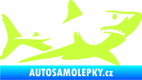 Samolepka Žralok 015 pravá limetová