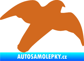 Samolepka Dravec na sklo 003 pravá oříšková