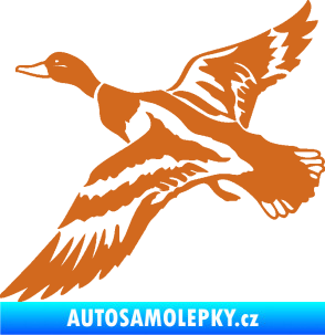 Samolepka Kachna divoká 001 levá kačer oříšková