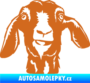 Samolepka Koza 003 pravá oříšková