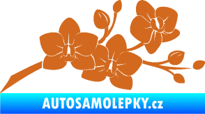 Samolepka Květina dekor 008 pravá orchidej oříšková