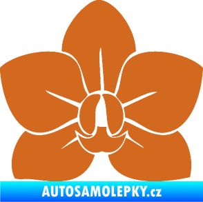 Samolepka Květina dekor 023 orchidej květ oříšková