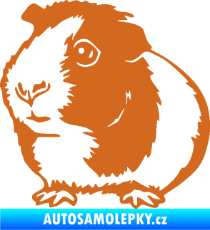 Samolepka Morče 003 levá oříšková