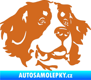 Samolepka Pes 131 pravá bernský salašnický pes oříšková