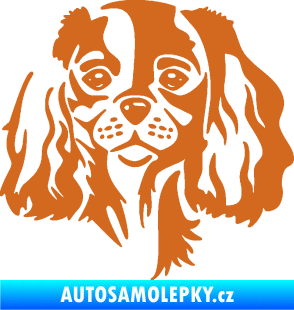 Samolepka Pes 132 pravá Cavalier king Charles spaniel oříšková