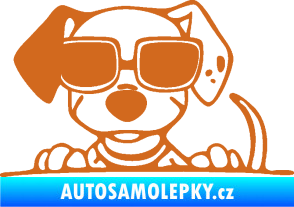 Samolepka Pes s brýlemi 101 levá v autě oříšková