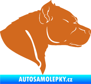 Samolepka Pitbull 004 pravá oříšková