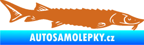 Samolepka Ryba 020 pravá jeseter oříšková