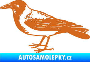 Samolepka Vrána 001 levá oříšková
