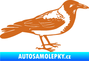 Samolepka Vrána 001 pravá oříšková