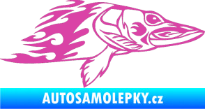 Samolepka Animal flames 074 pravá ryba růžová
