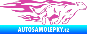 Samolepka Animal flames 084 pravá lvice růžová