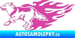 Samolepka Animal flames 090 levá vlk růžová