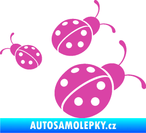 Samolepka Berušky 001 pravá růžová