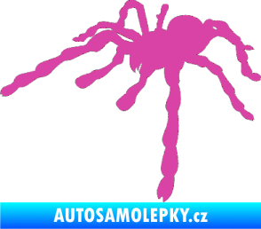 Samolepka Pavouk 013 - levá růžová