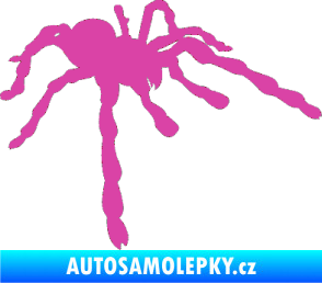 Samolepka Pavouk 013 - pravá růžová