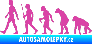 Samolepka Evoluce 001 levá růžová