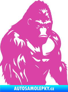 Samolepka Gorila 004 pravá růžová
