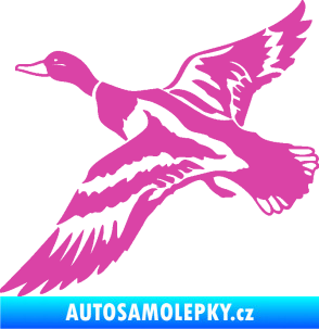 Samolepka Kachna divoká 001 levá kačer růžová
