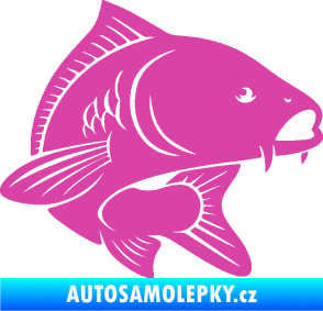 Samolepka Kapr 008 pravá růžová