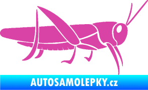 Samolepka Kobylka 002 pravá růžová