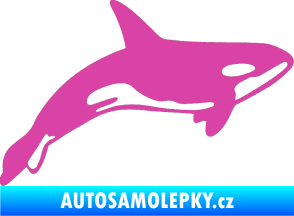 Samolepka Kosatka 001 pravá růžová