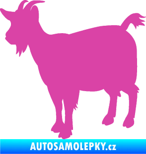 Samolepka Koza 001 levá růžová