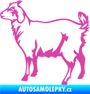 Samolepka Koza 002 levá růžová