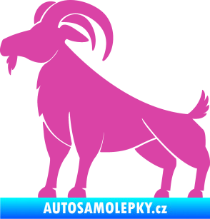 Samolepka Kozel 005 růžová
