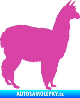 Samolepka Lama 002 pravá alpaka růžová