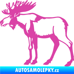 Samolepka Los 005 levá růžová