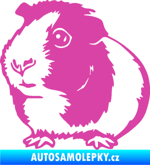 Samolepka Morče 003 levá růžová