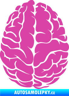 Samolepka Mozek 001 pravá růžová