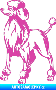 Samolepka Pes 014 levá Pudl růžová