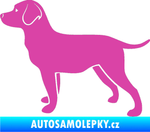 Samolepka Pes 062 levá Labrador růžová
