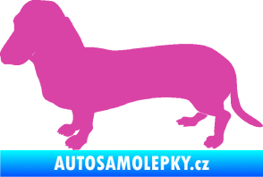 Samolepka Pes 094 levá Baset růžová