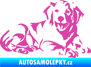 Samolepka Pes 106 pravá Retrívr růžová
