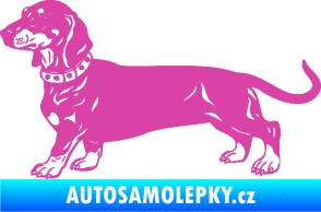 Samolepka Pes 122 levá jezevčík růžová